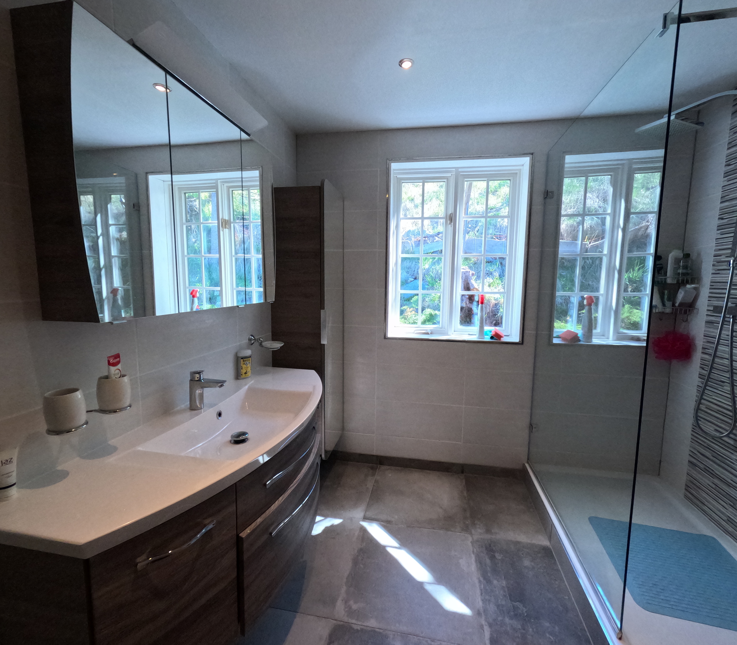 Salle d'eau avec douche, WC, lavabo  Salle d'eau avec douche, WC, lavabo