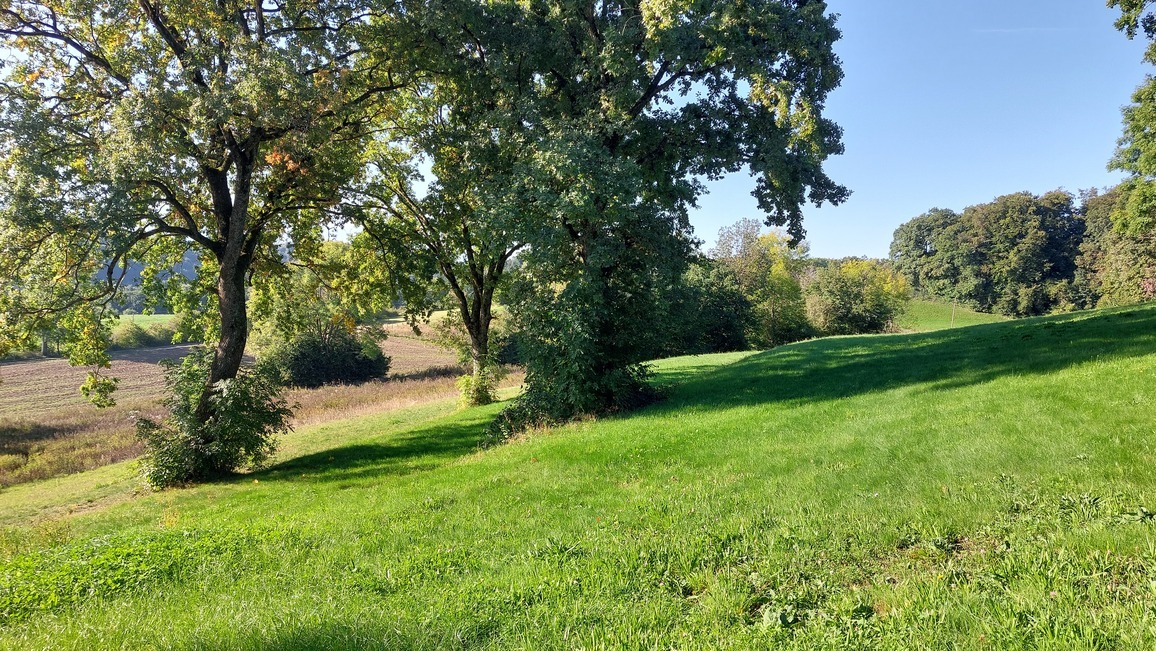 parcelles 103-105-106 parcelles 103-105-106