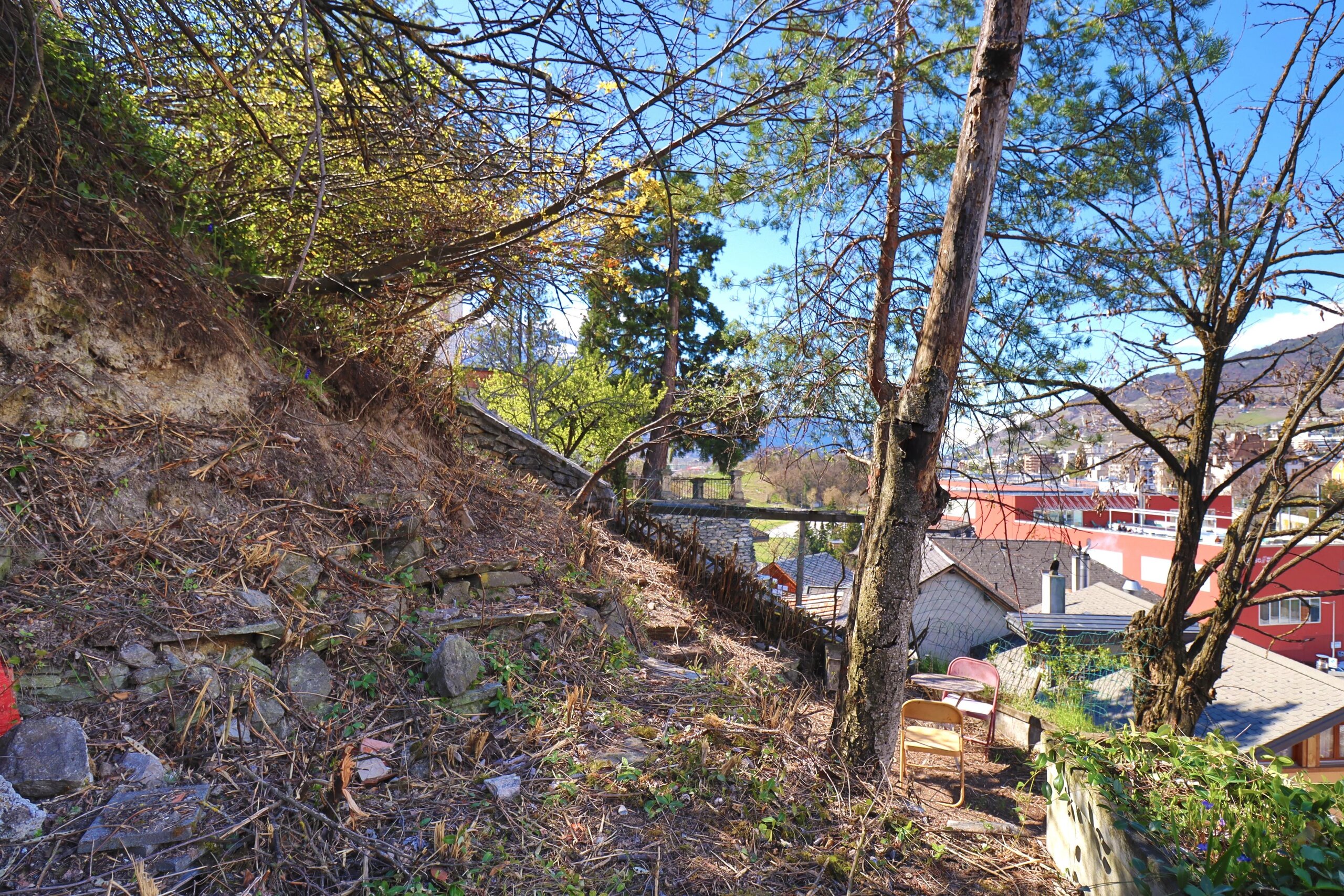 Photo 27