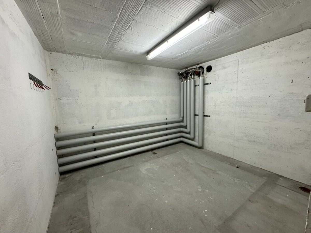 Picture 10