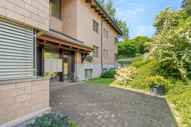 Immagine di copertina