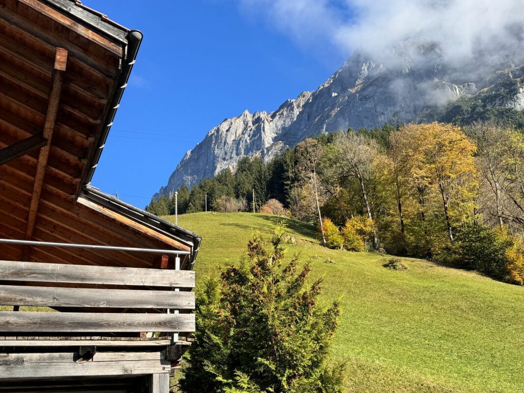 Aussicht neben Chalet