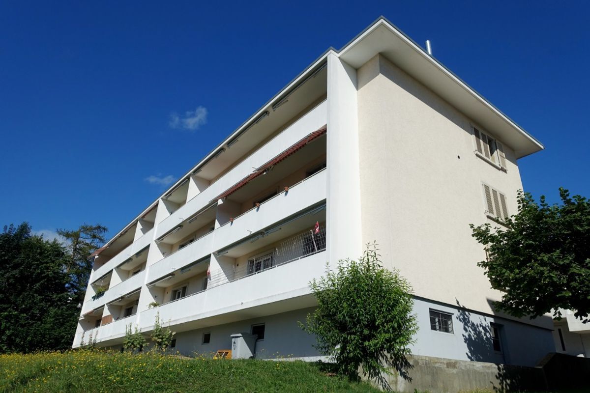 Foto 7