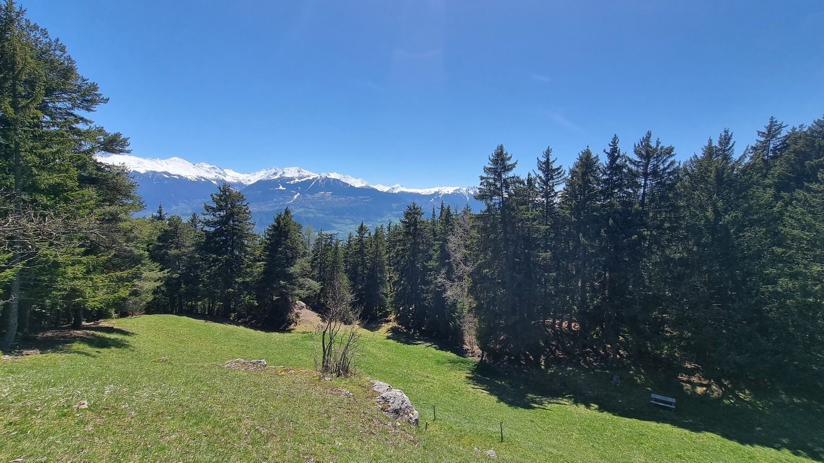 Foto 4
