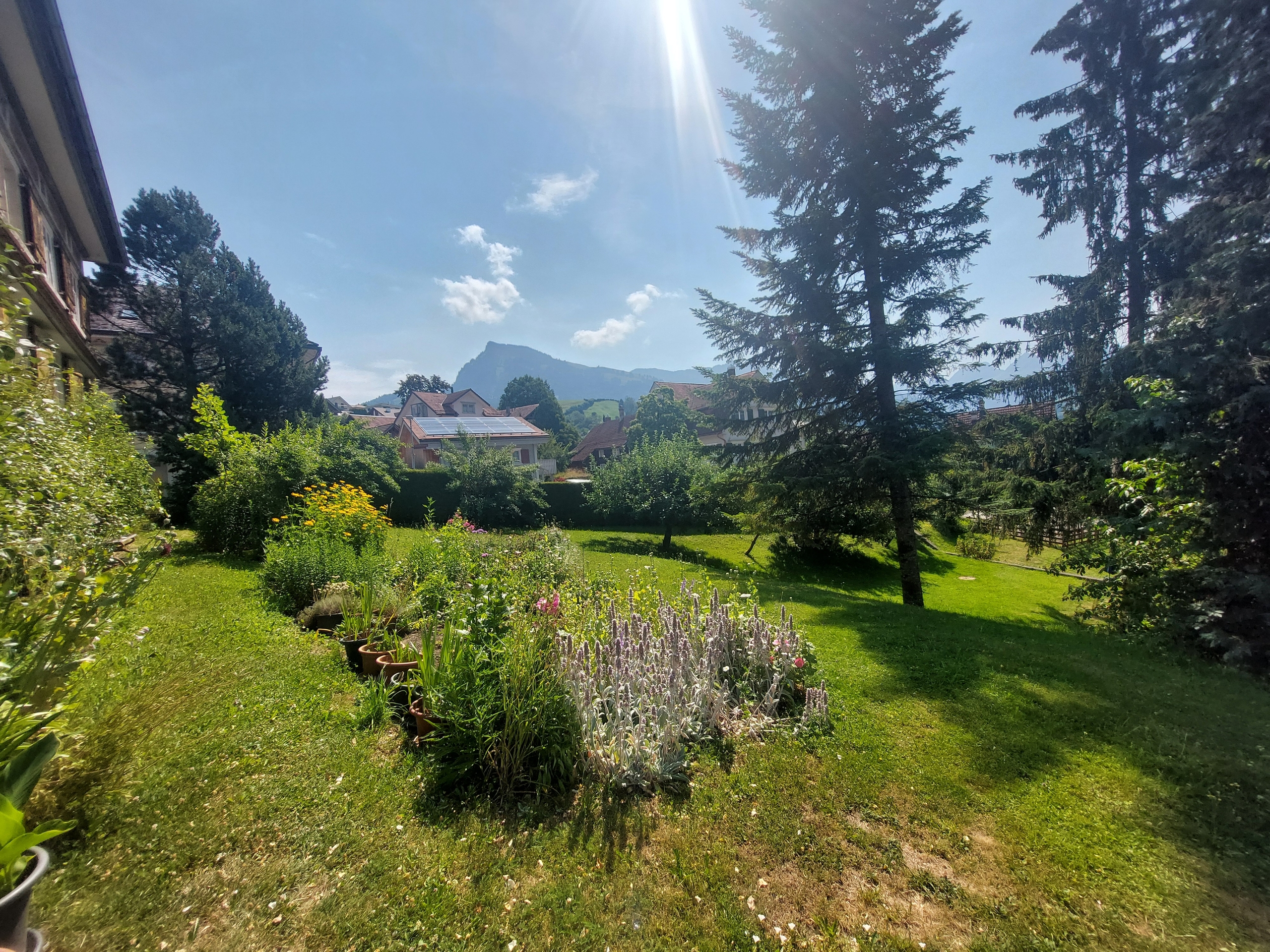 Image 8 Image 8