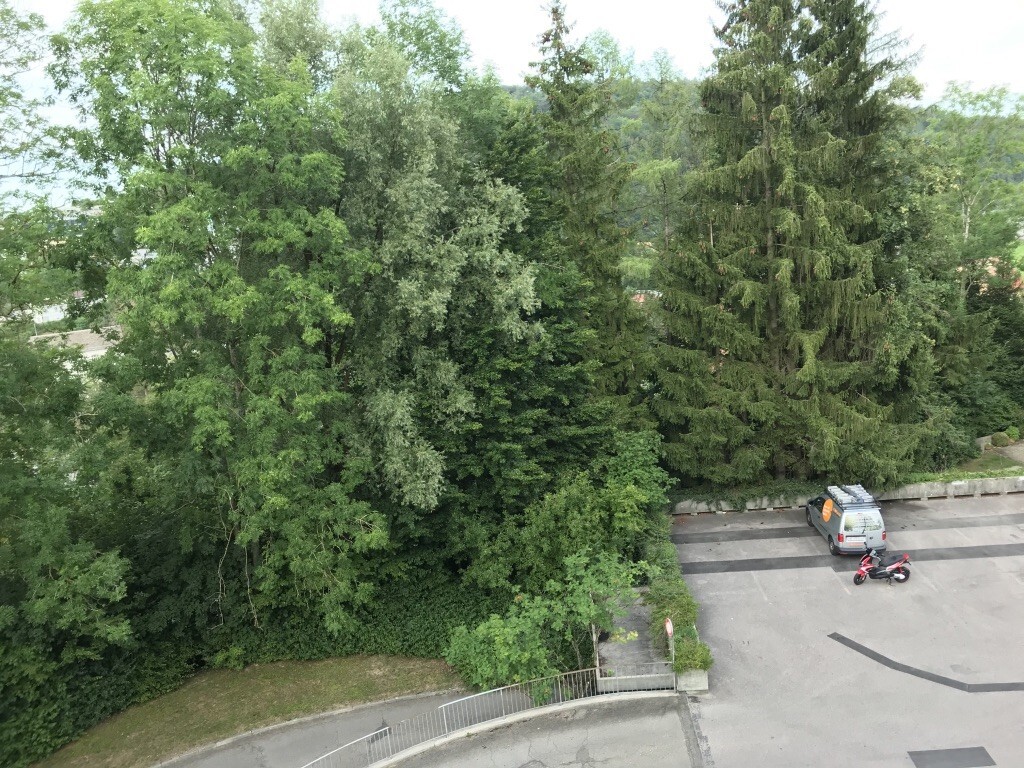 Foto 12