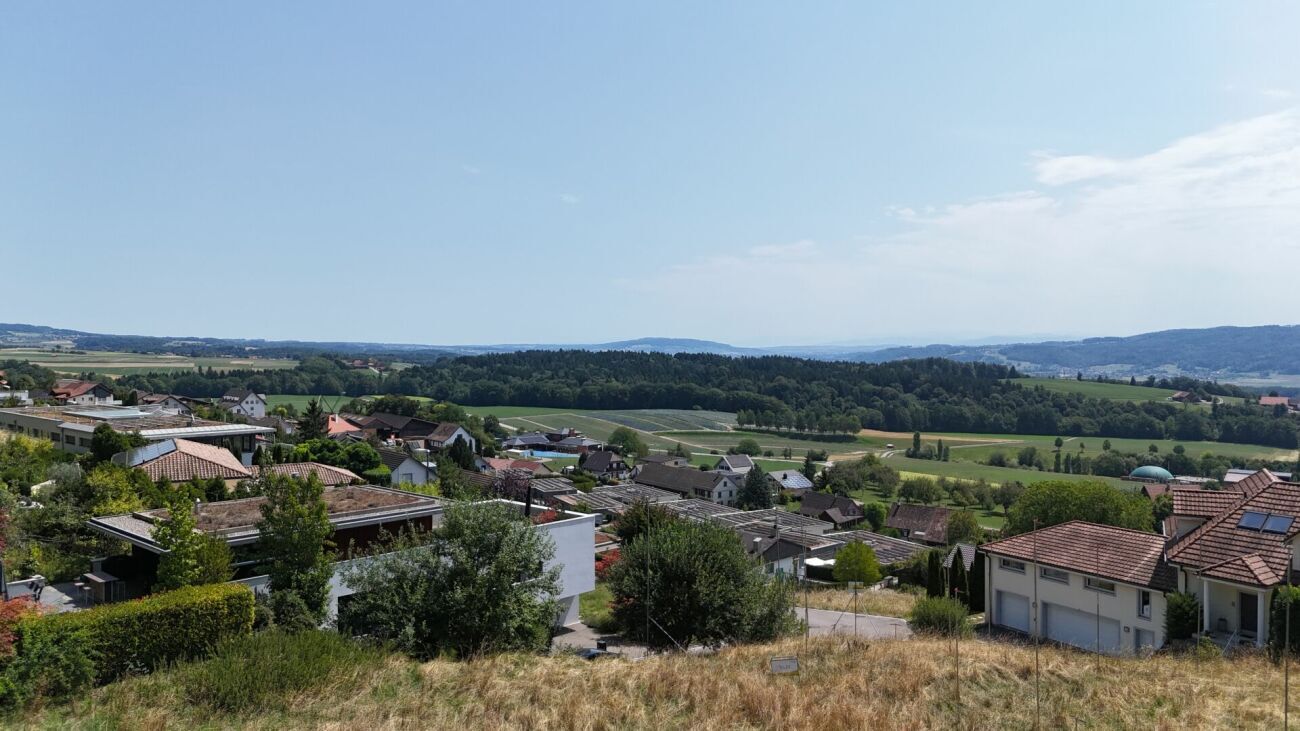 Firstview