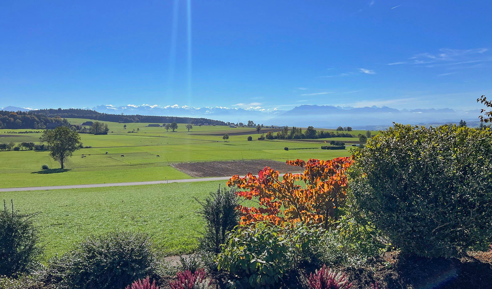 Weitere Bilder auf www.dv-immo.ch