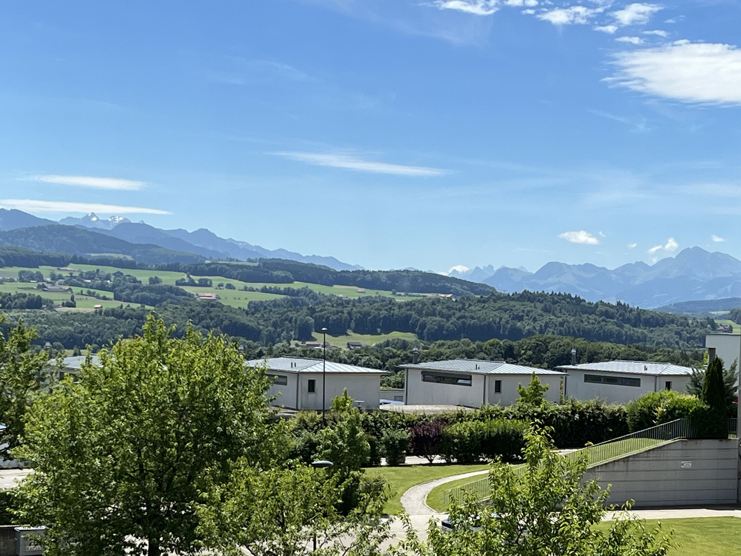 Vue sur Moléson et Préalpes