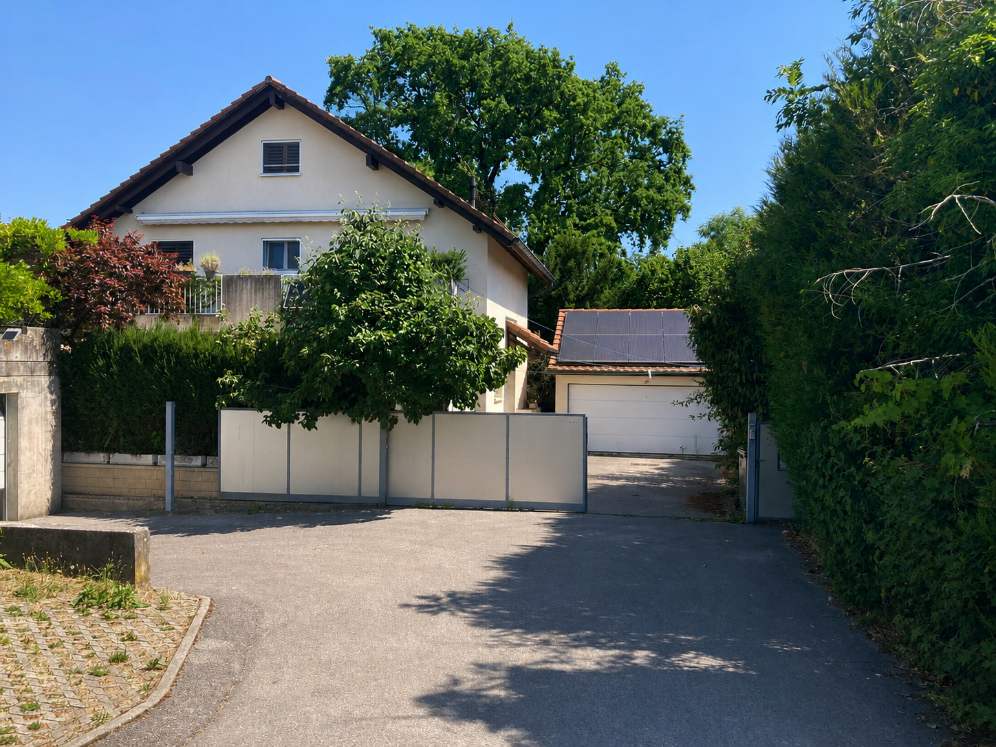 Firstview