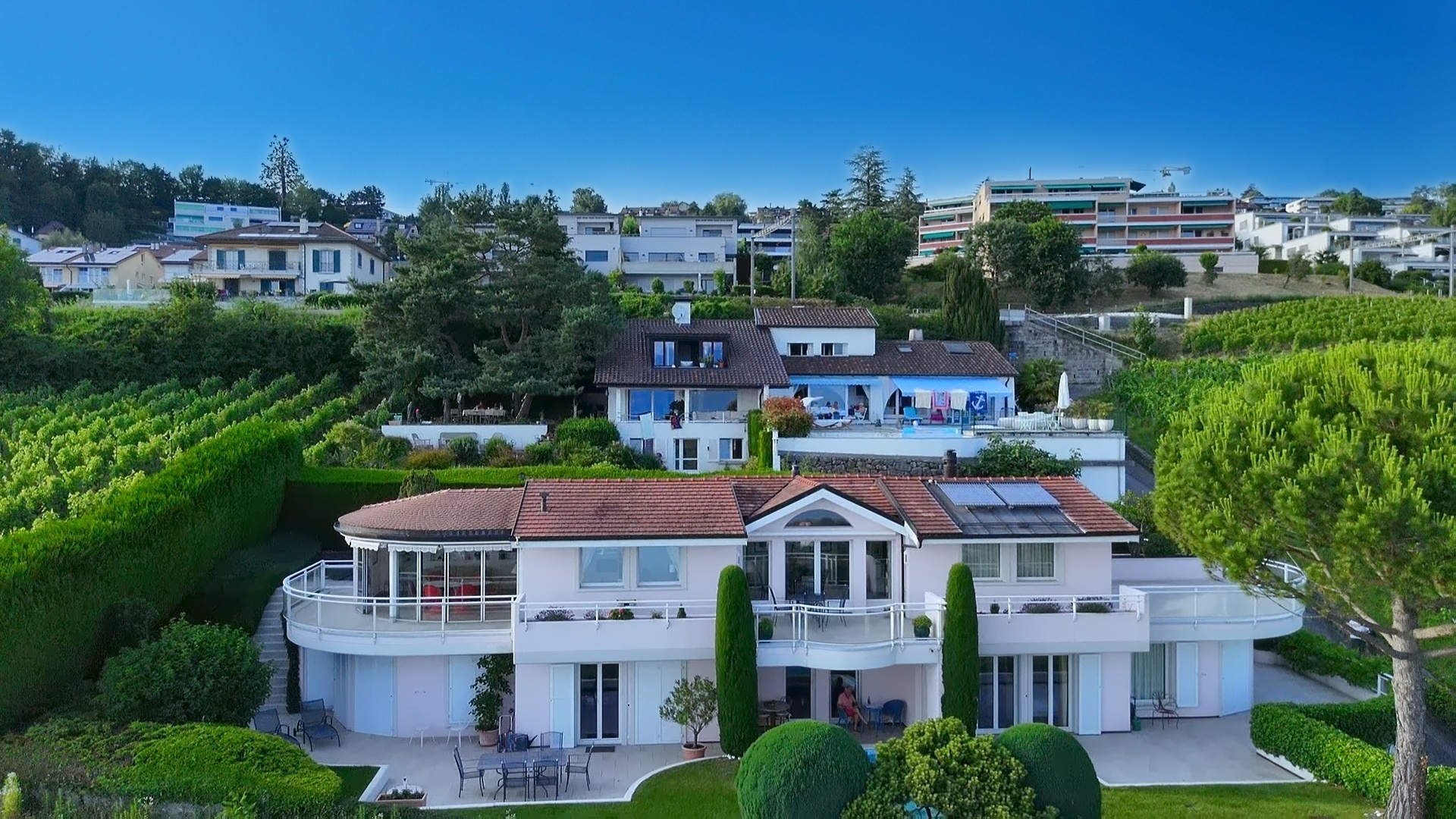 Immagine di copertina