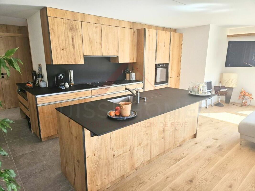 Küche (offene Küche, moderne Küche) ? Cuisine (cuisine ouverte, cuisine moderne)