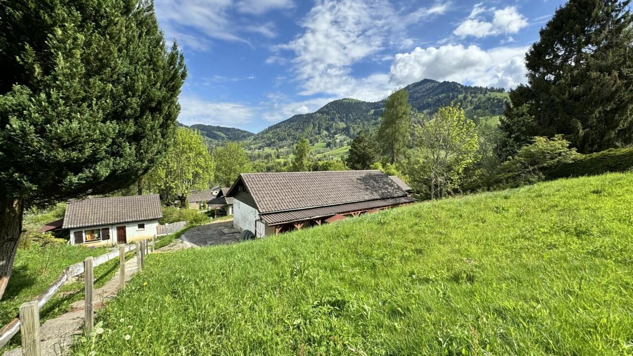 Foto 21