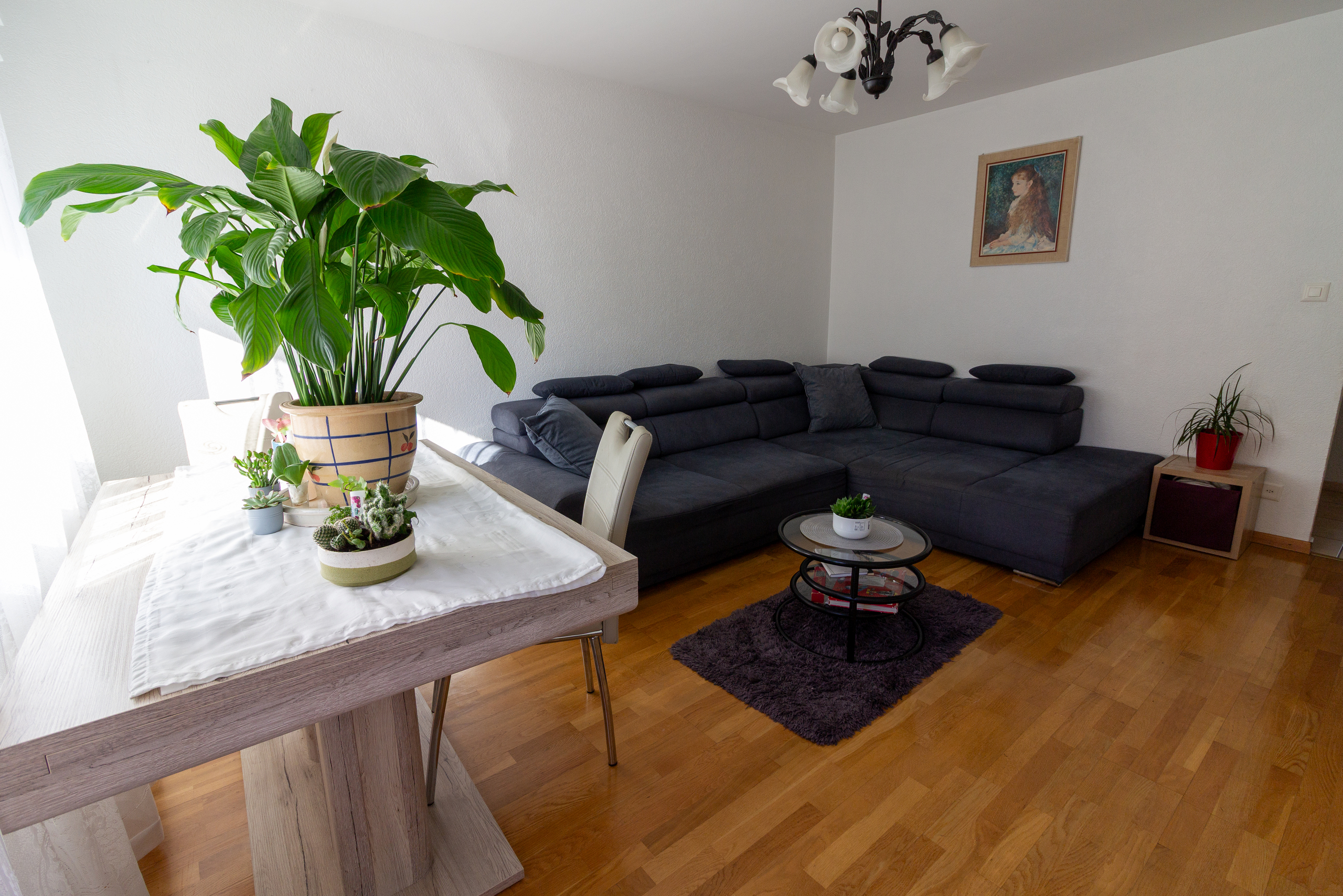 Interior view 3