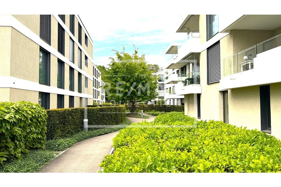 Premier coup d'oeil 2