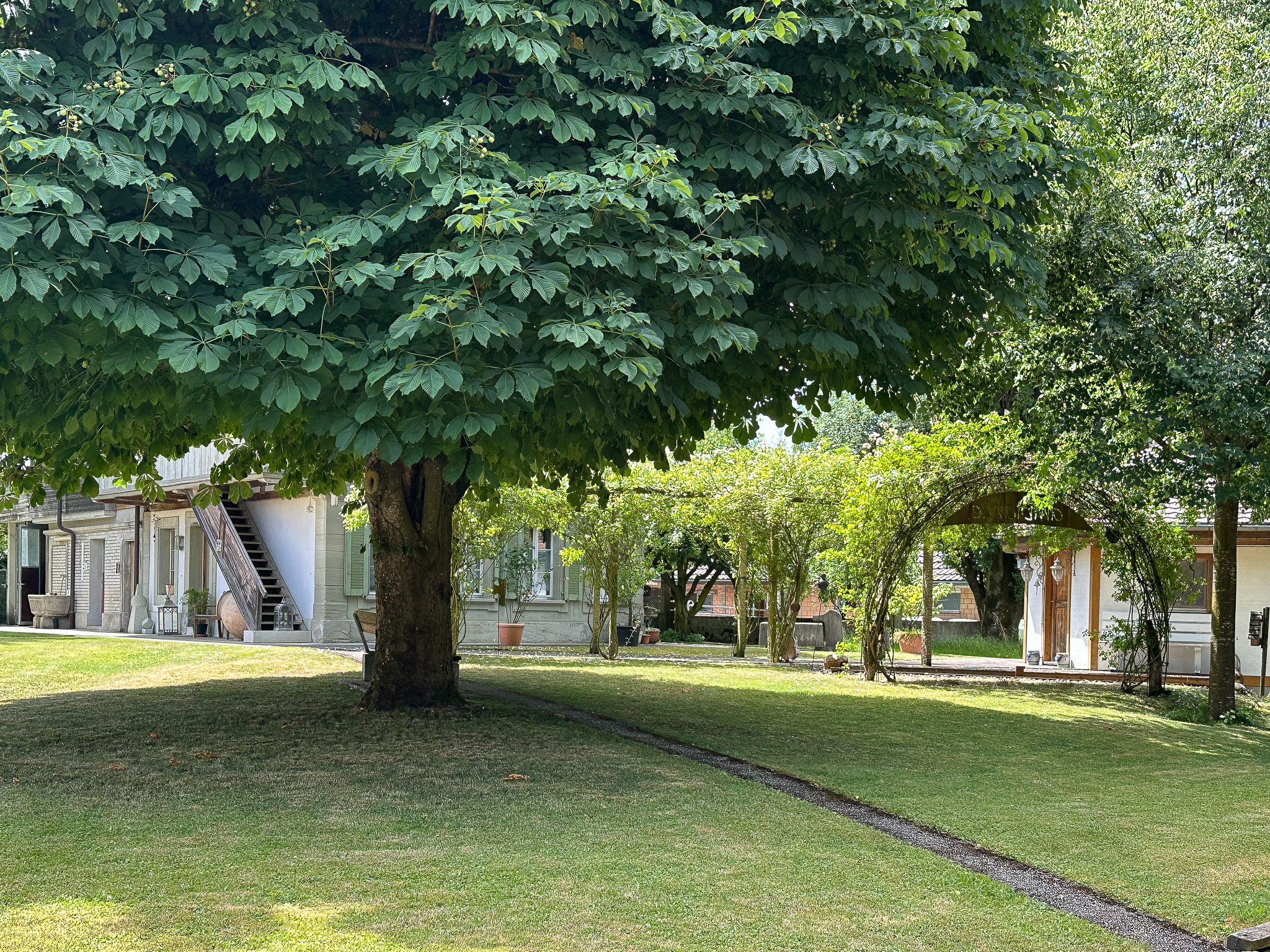 Aussenansicht 5