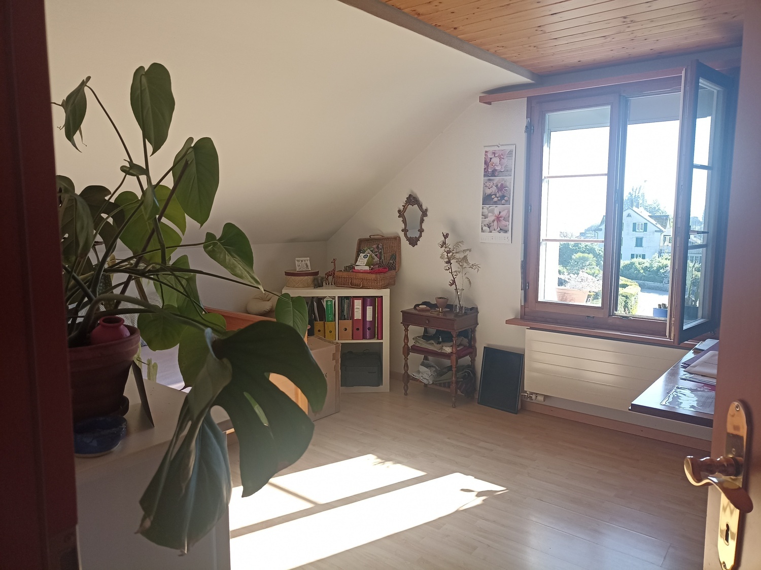 Photo 6
