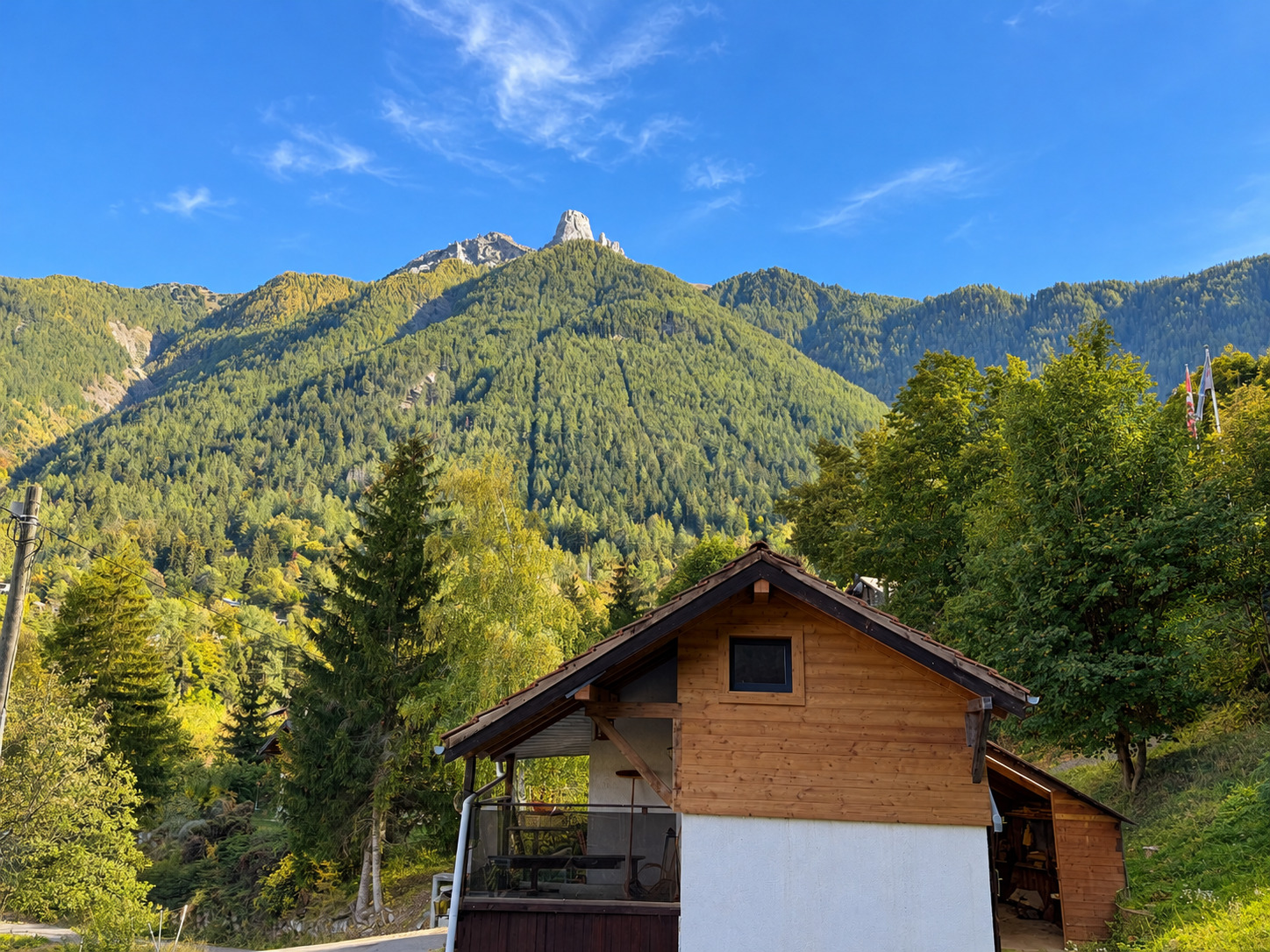 Foto 1