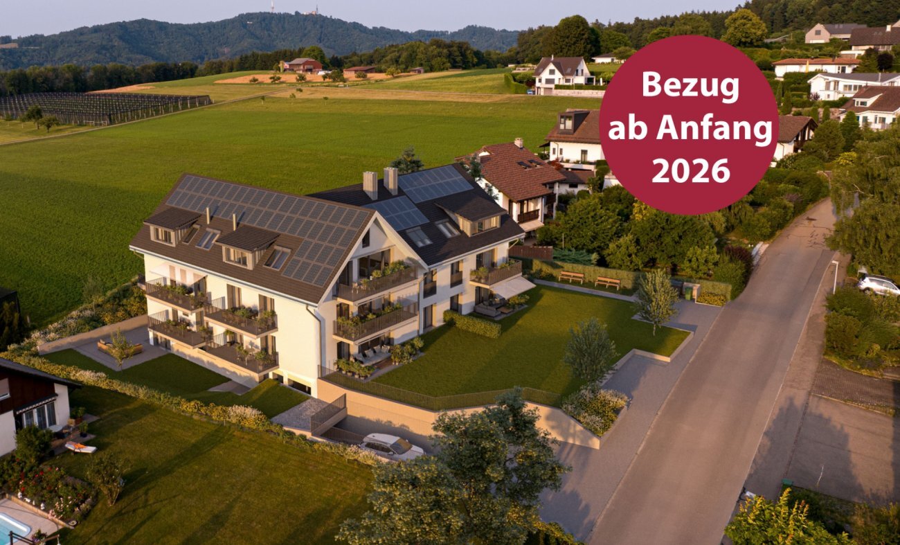 Premier coup d'oeil 2