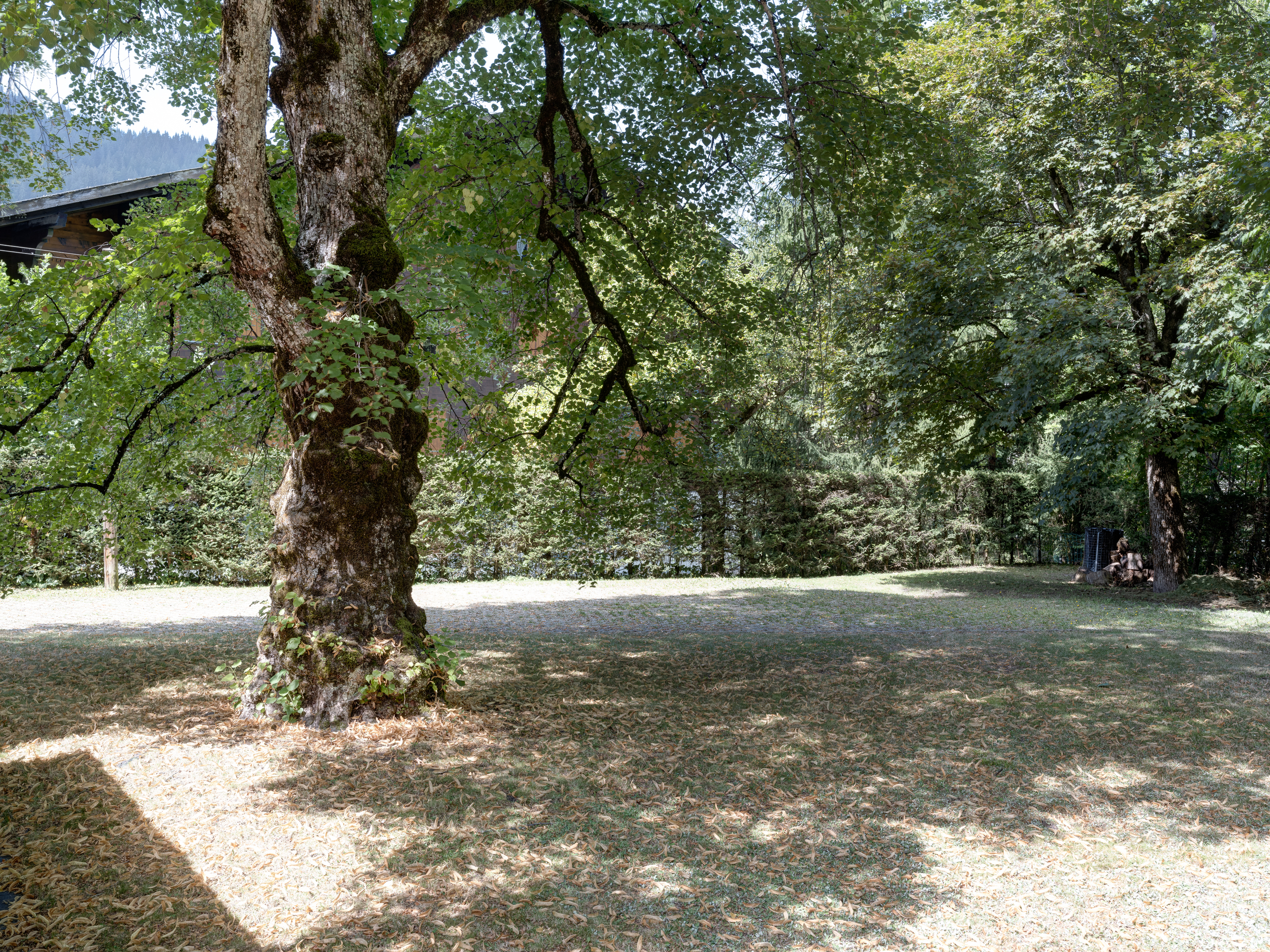 Picture 7