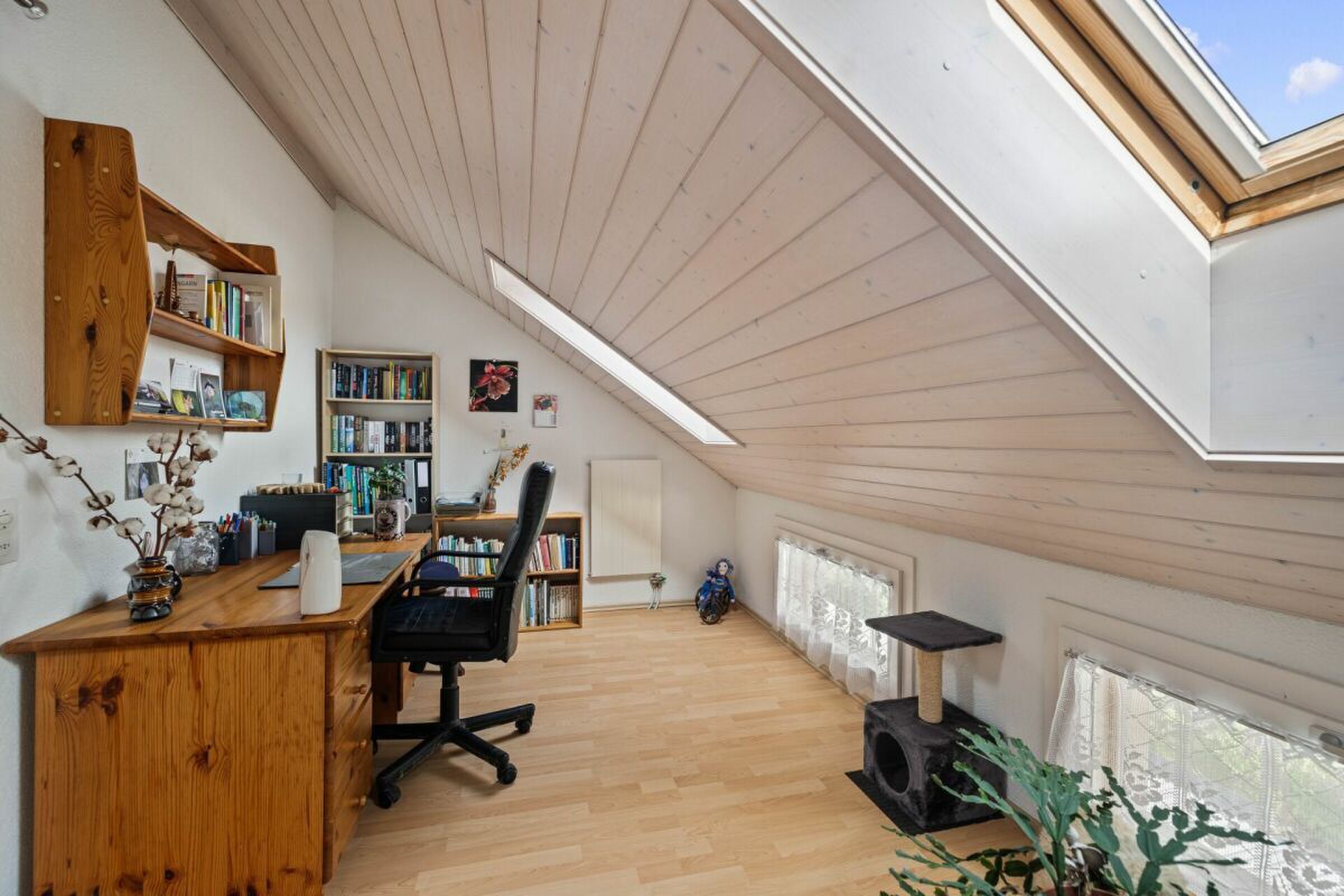 Photo 11