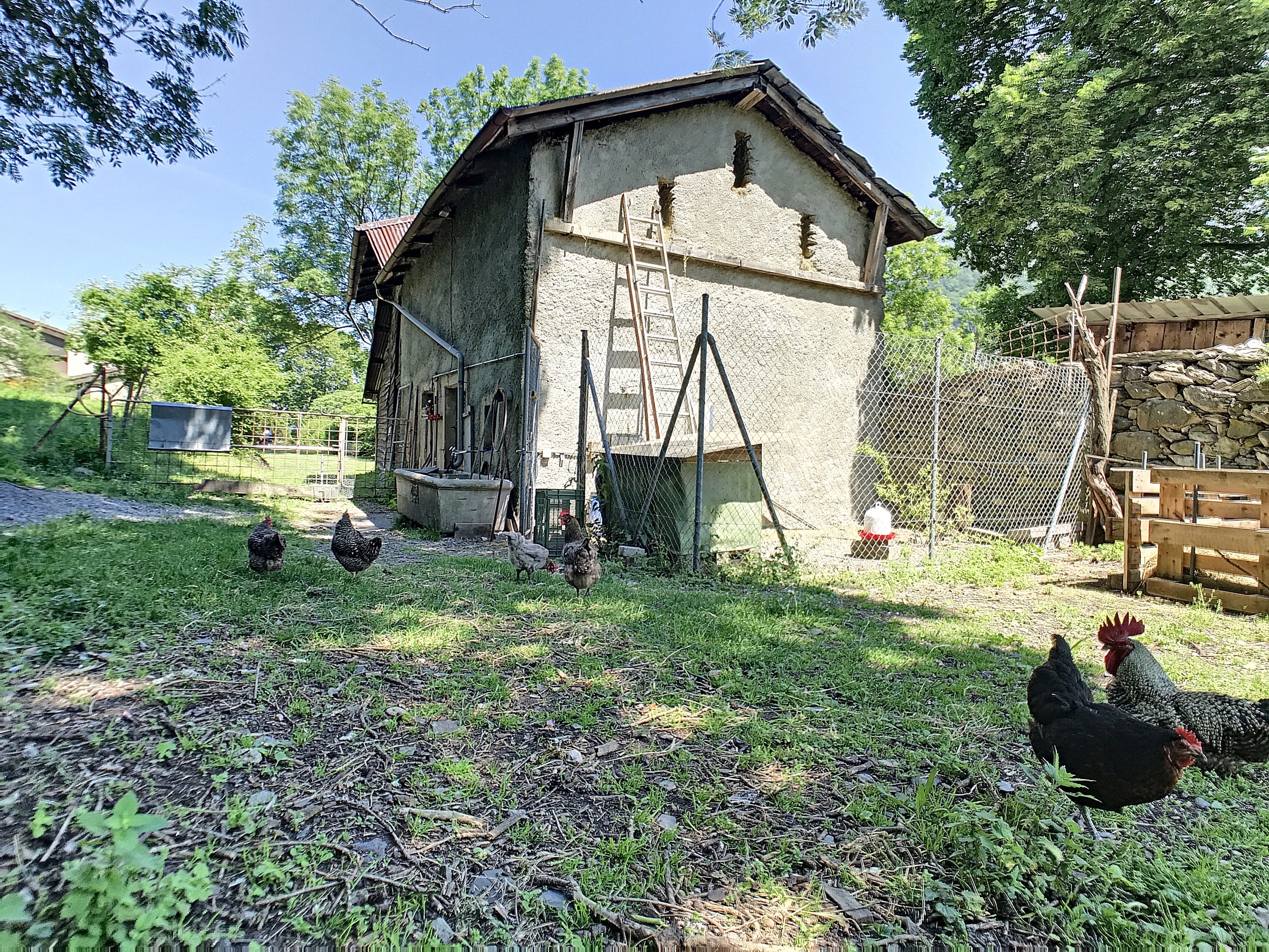 Photo 17