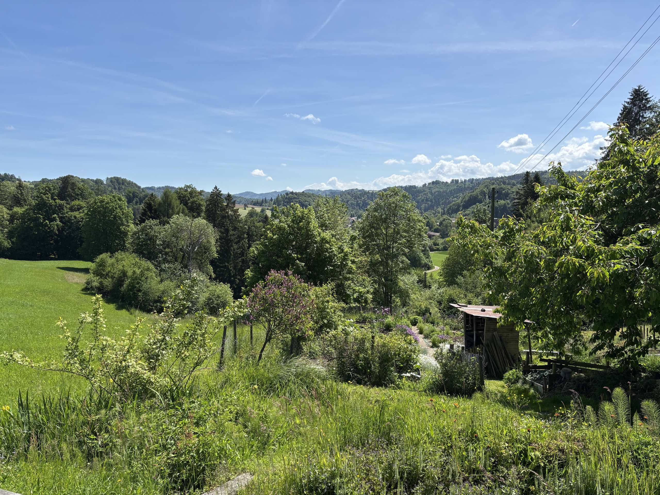 Vue extérieure 4