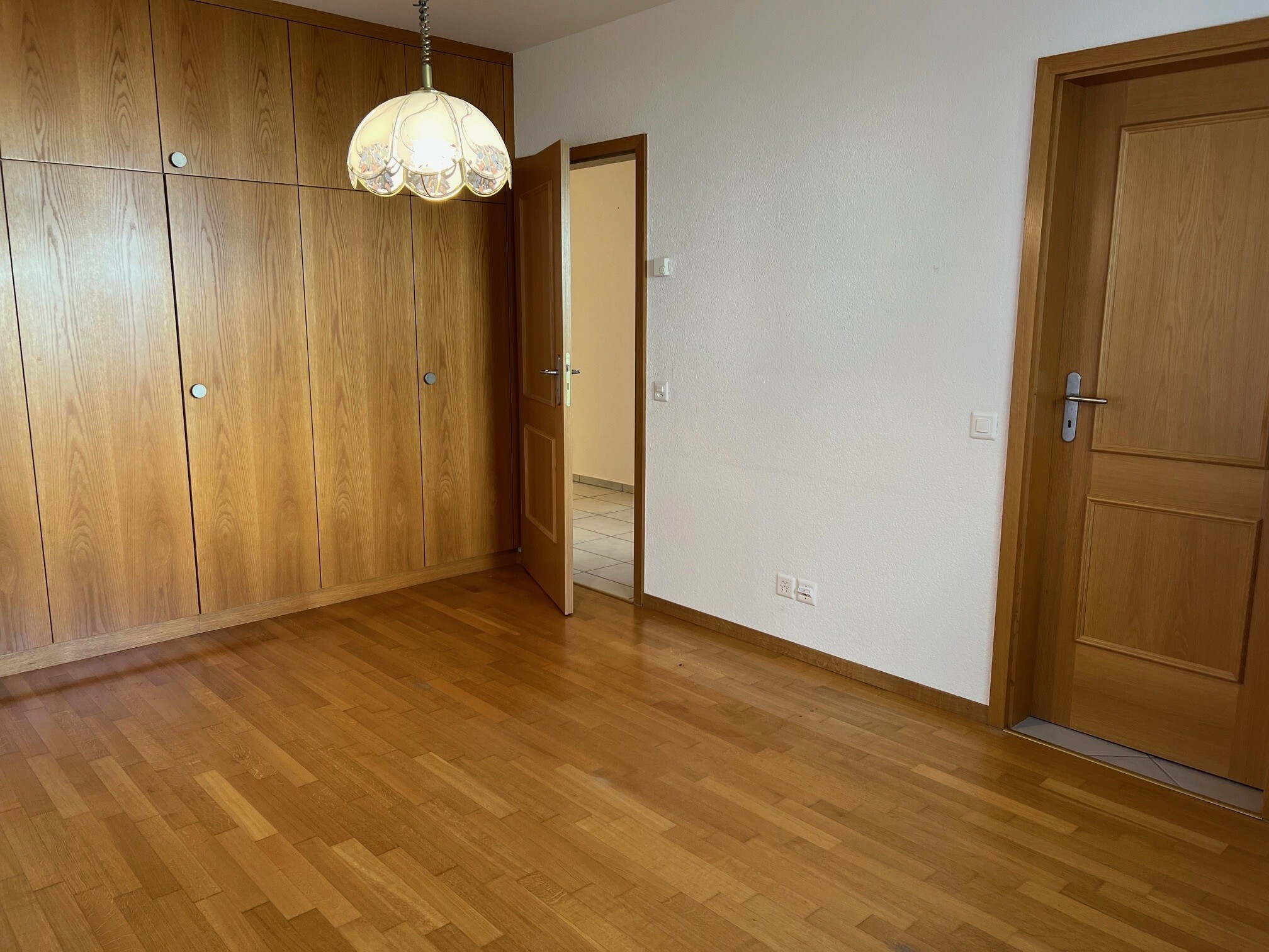 Picture 8
