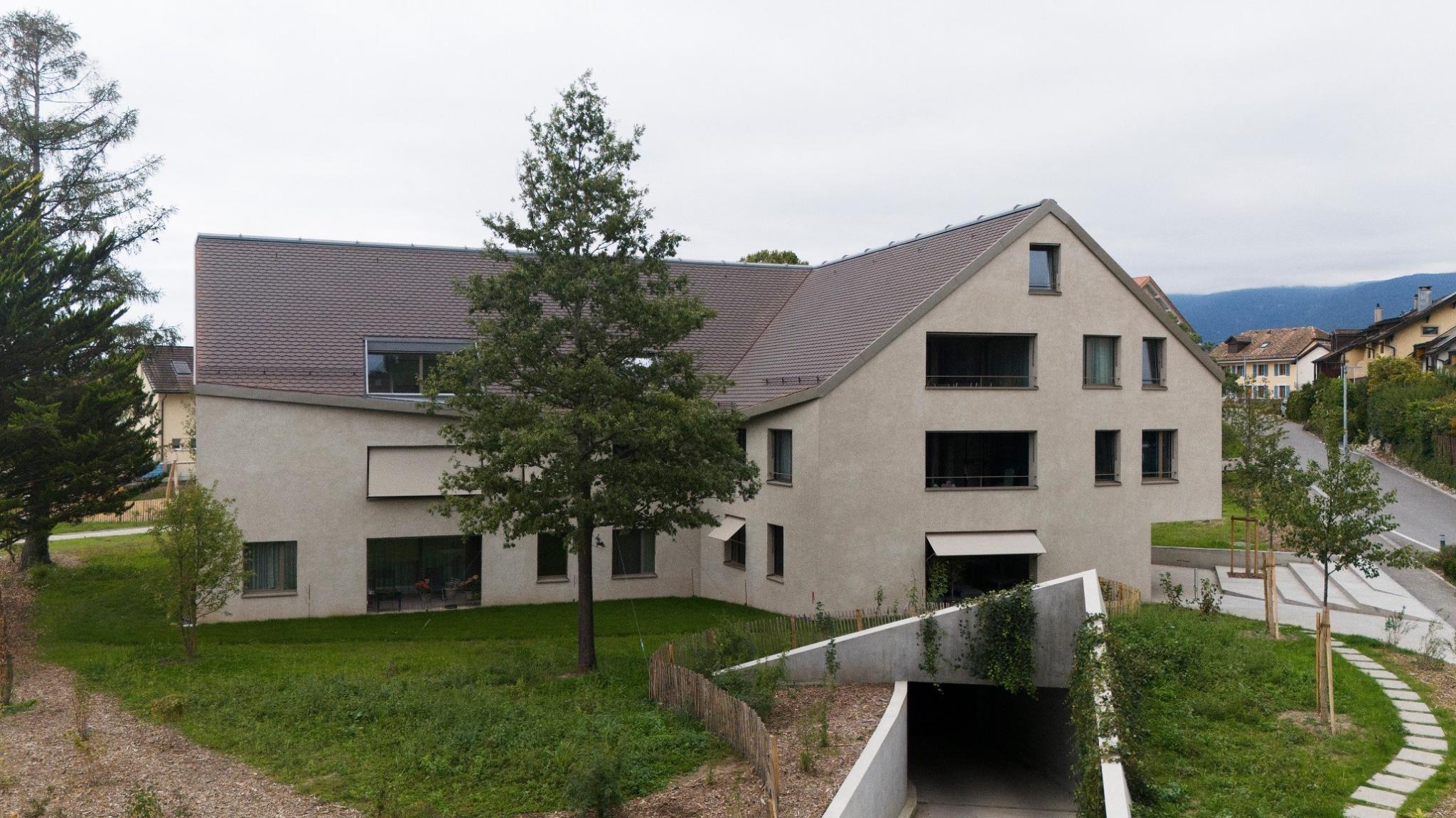 Firstview