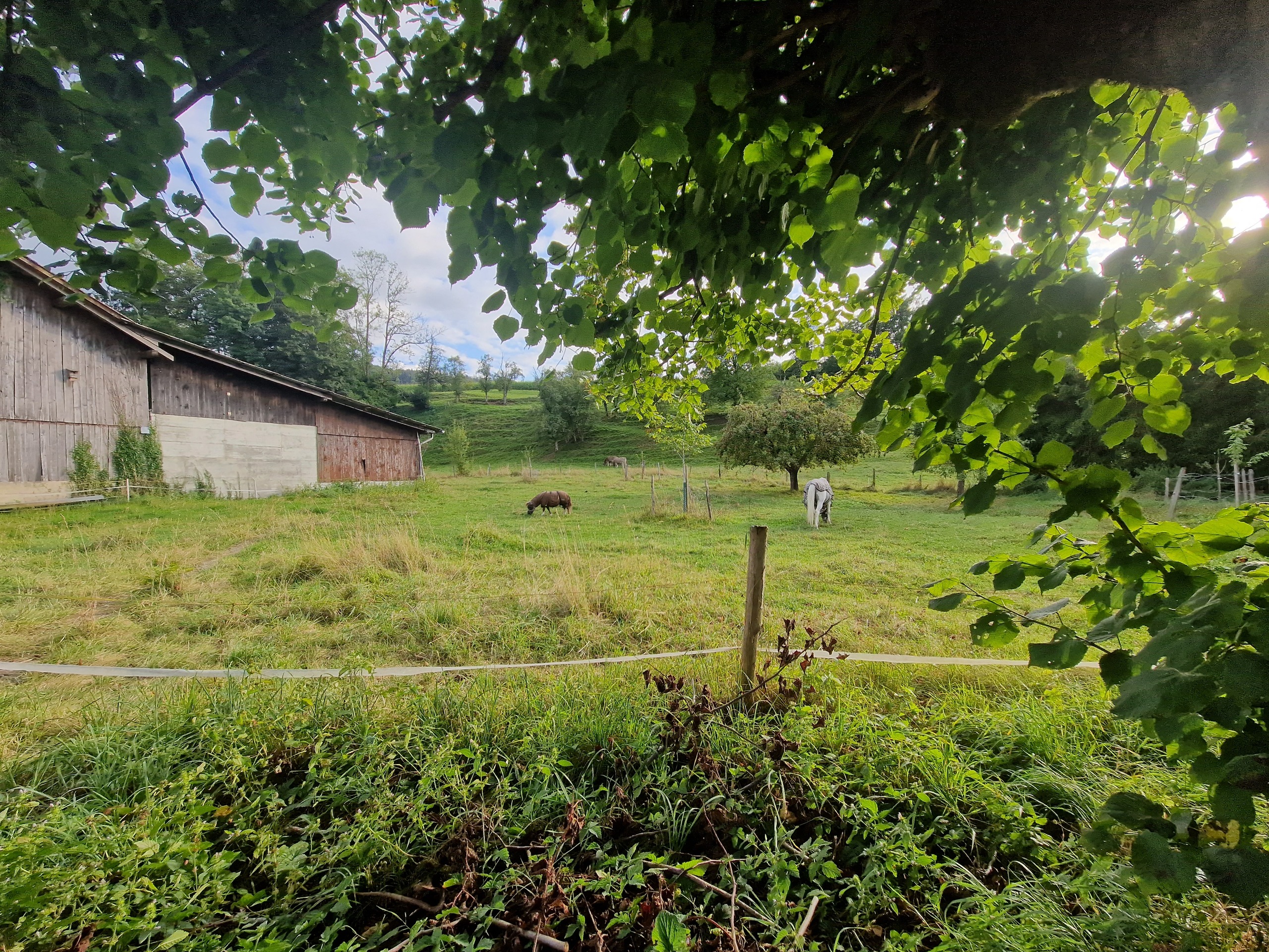nicht die gesamte Parzelle Teil des Verkaufs ist