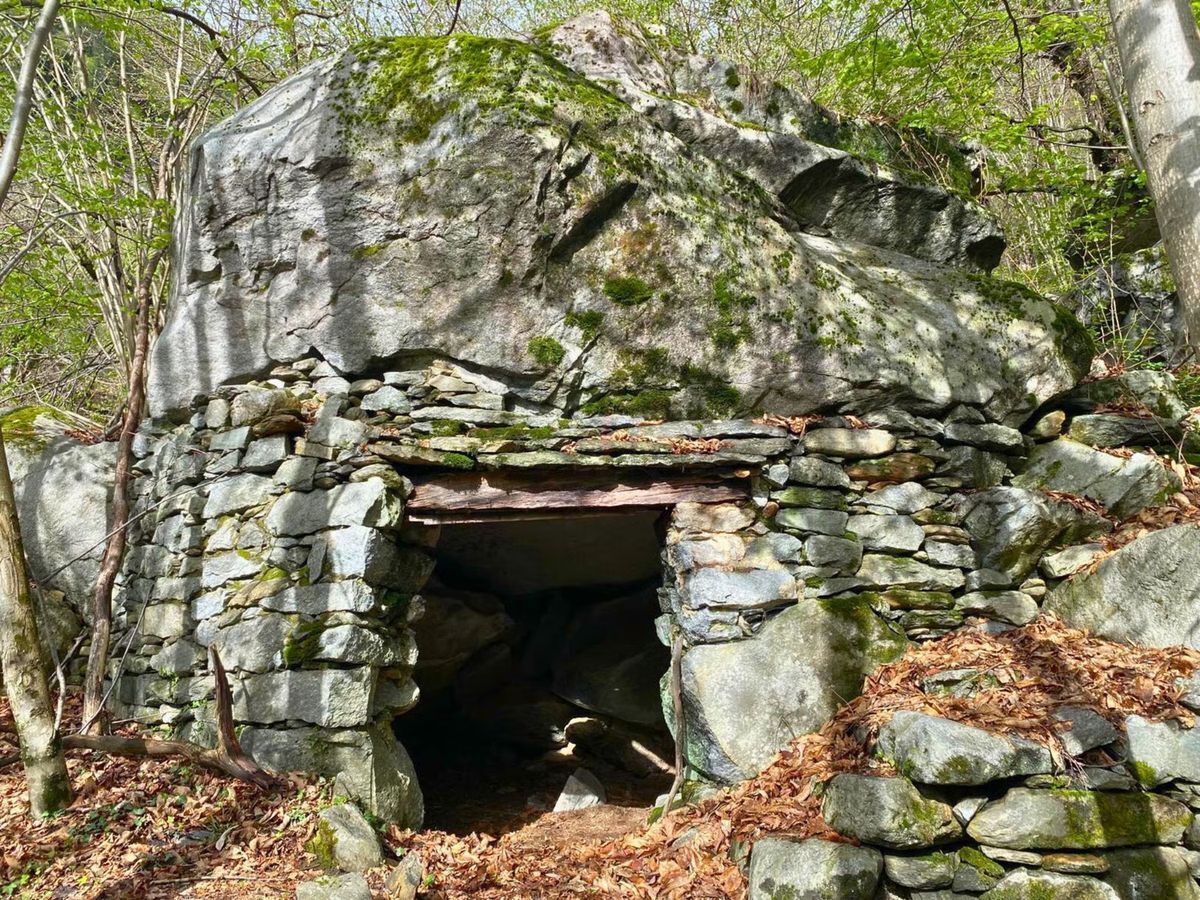 Picture 6