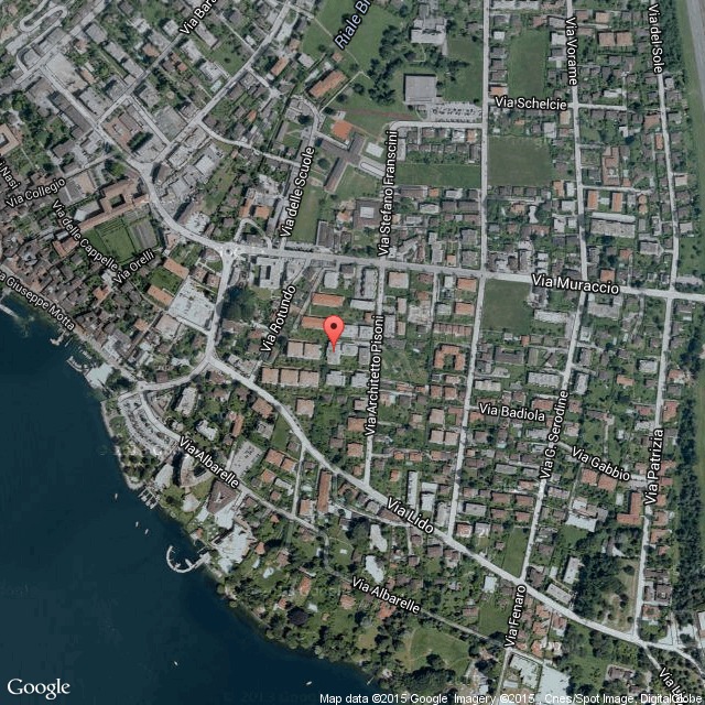 Piantina