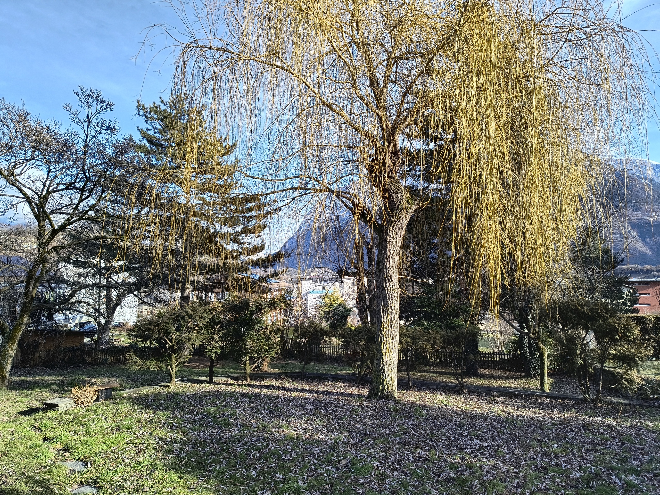 Vista esteriore 1