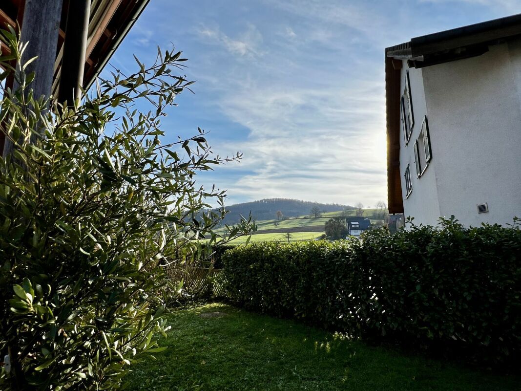 Picture 7