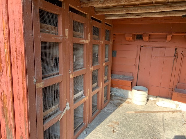 Photo 20
