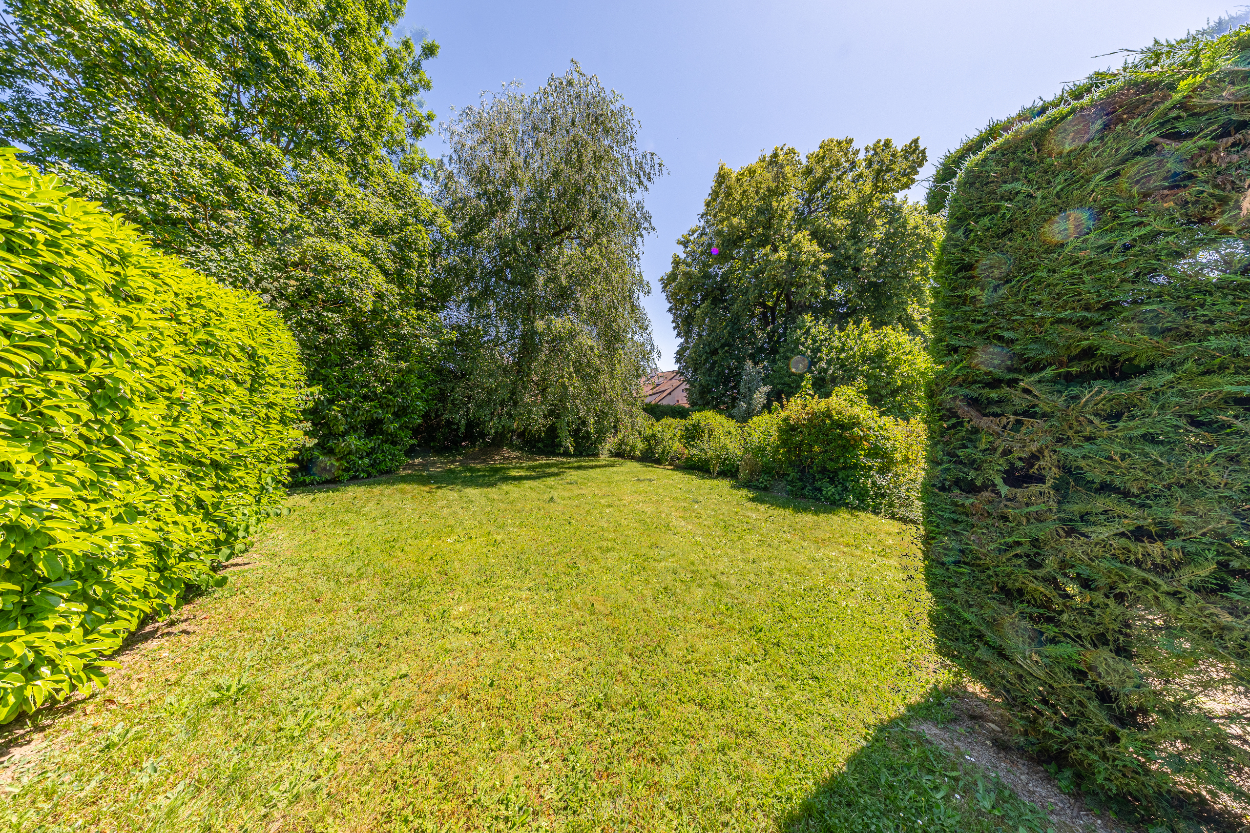 jardin