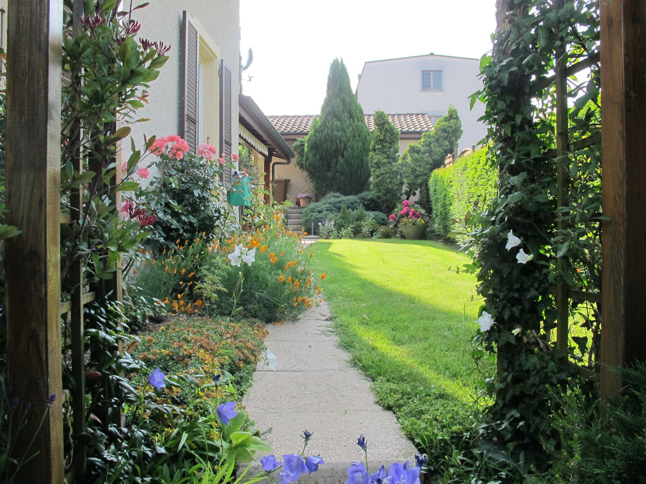 Picture 16
