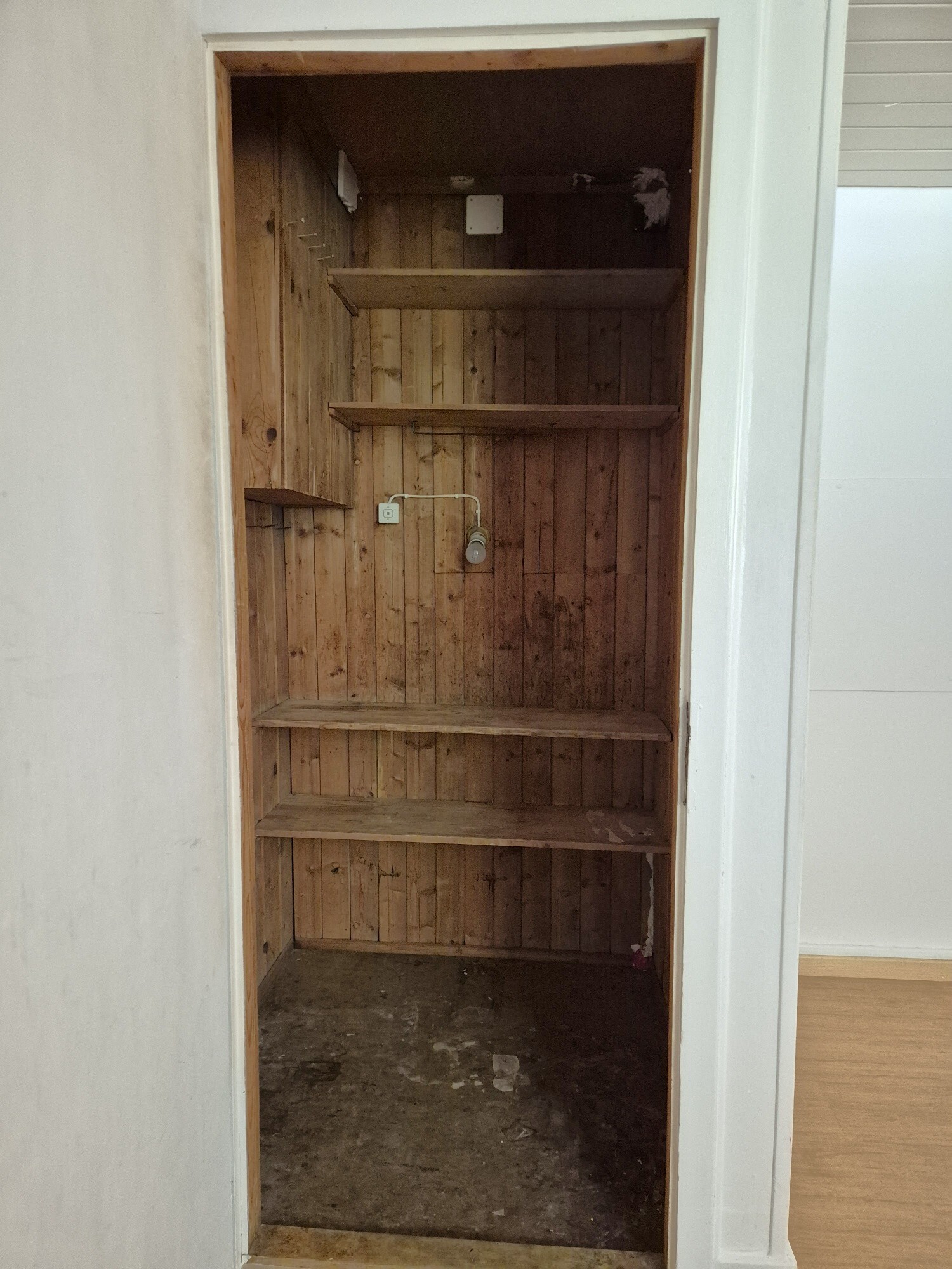 Picture 5