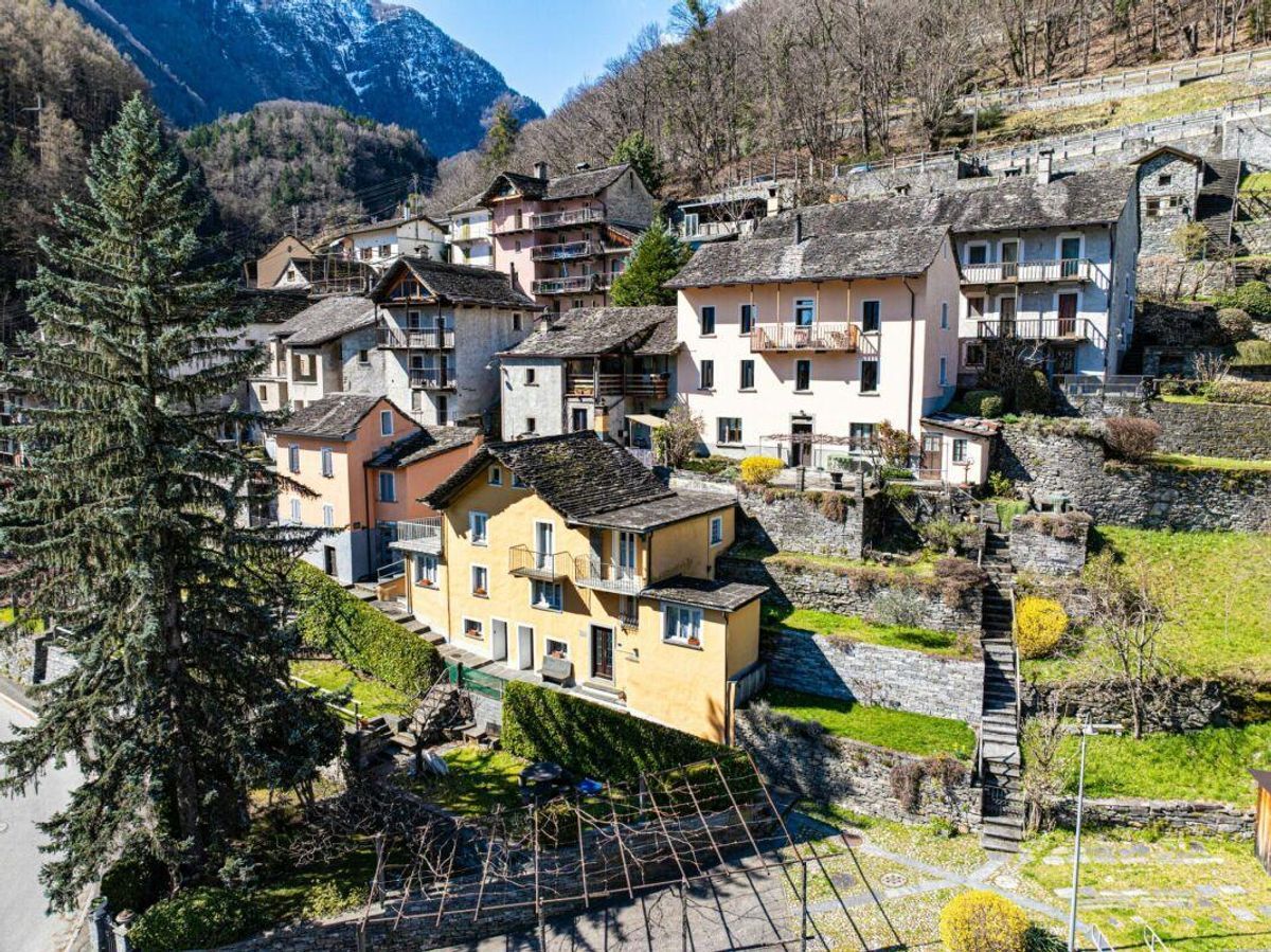 Immagine di copertina