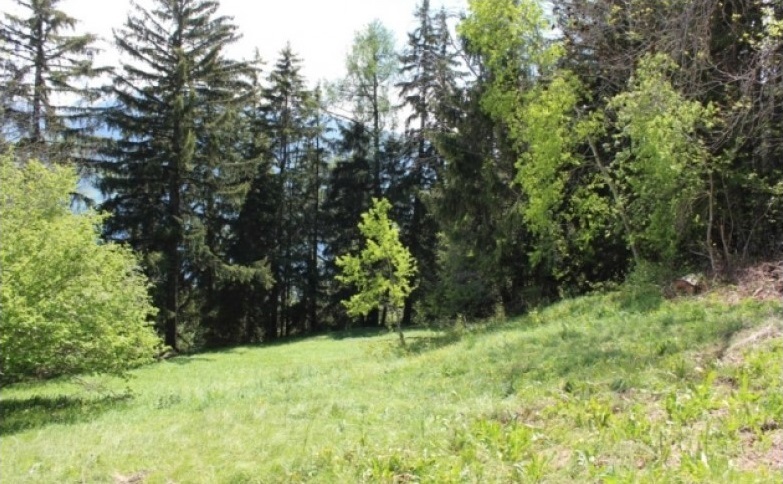 Picture 1