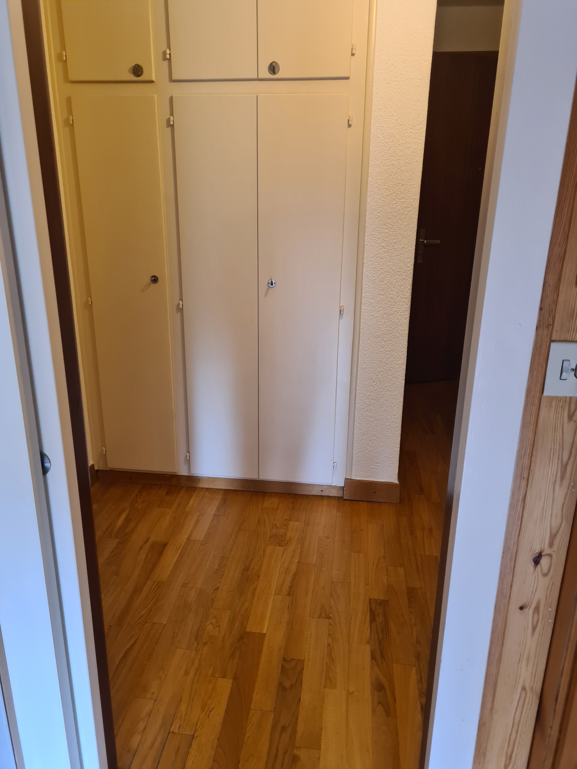 Picture 11