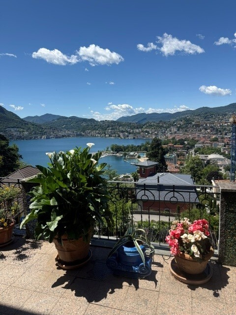 lake and city view