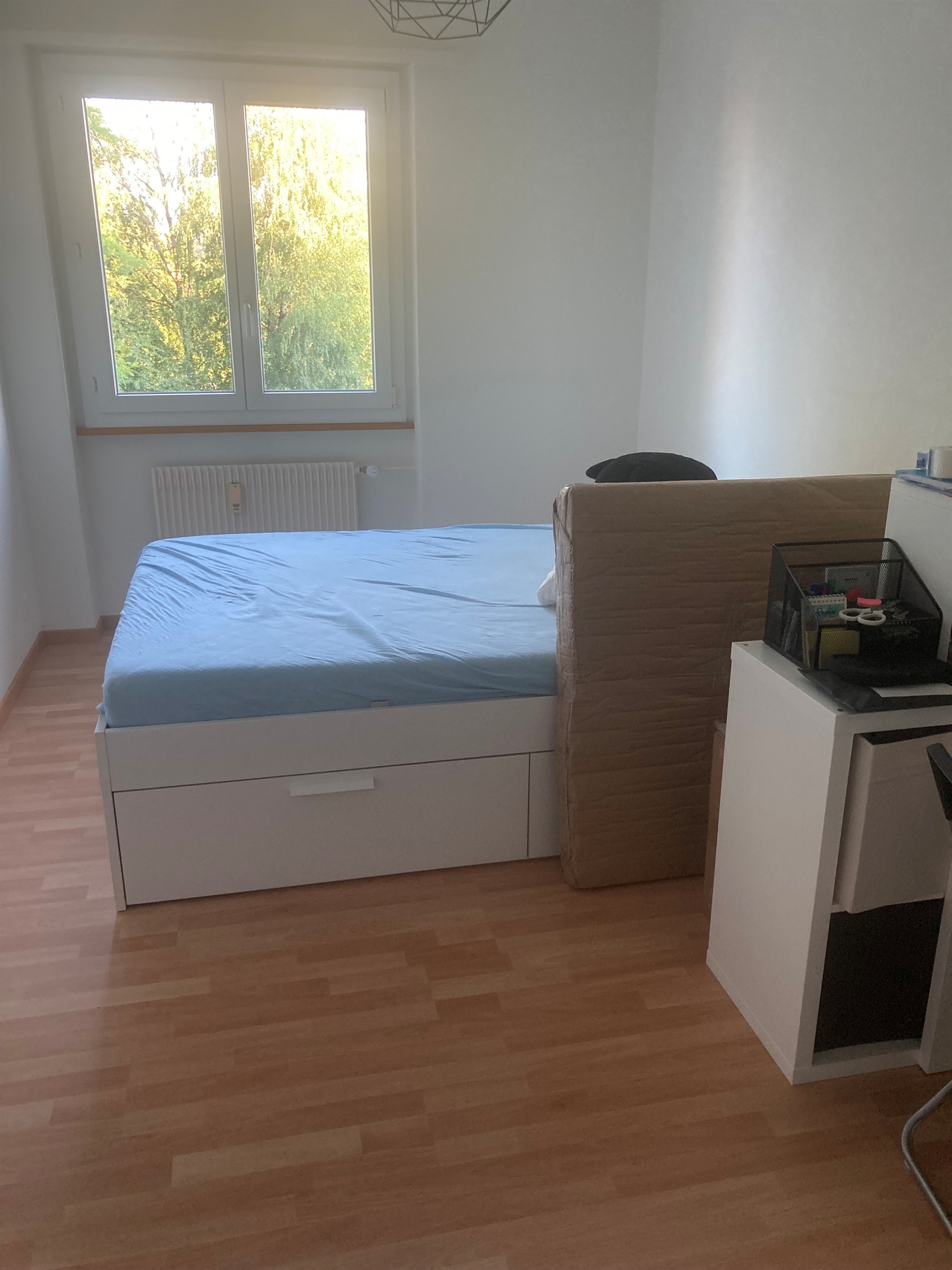 Picture 5