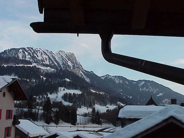 Photo 24