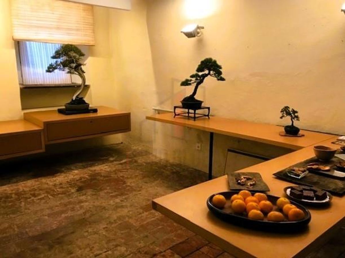 Photo 12