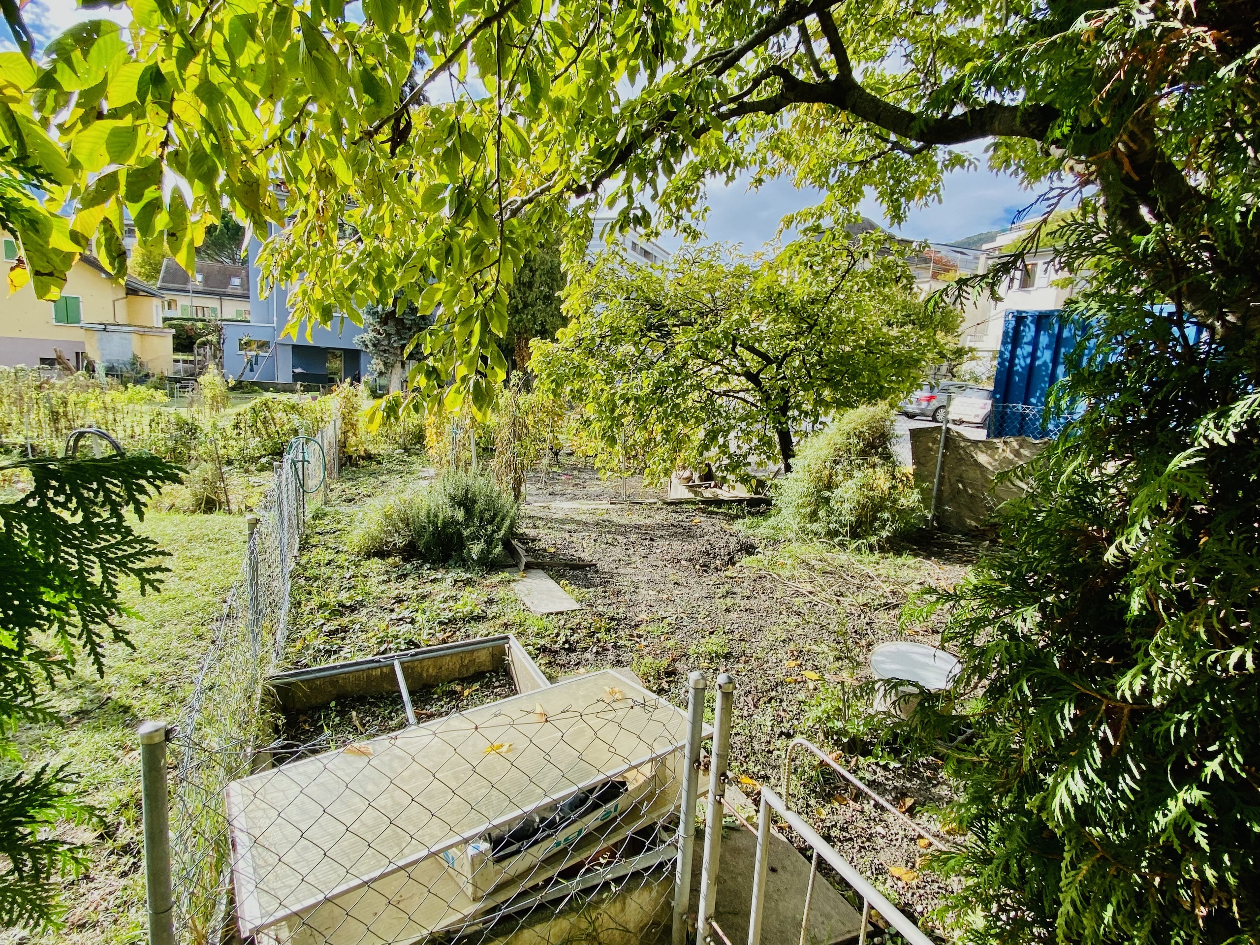 Photo 22