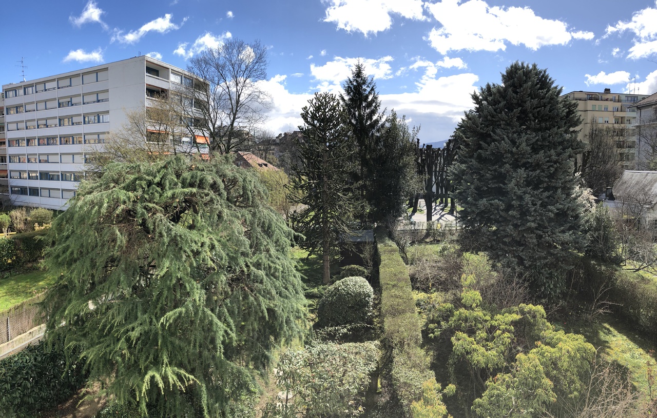 Firstview
