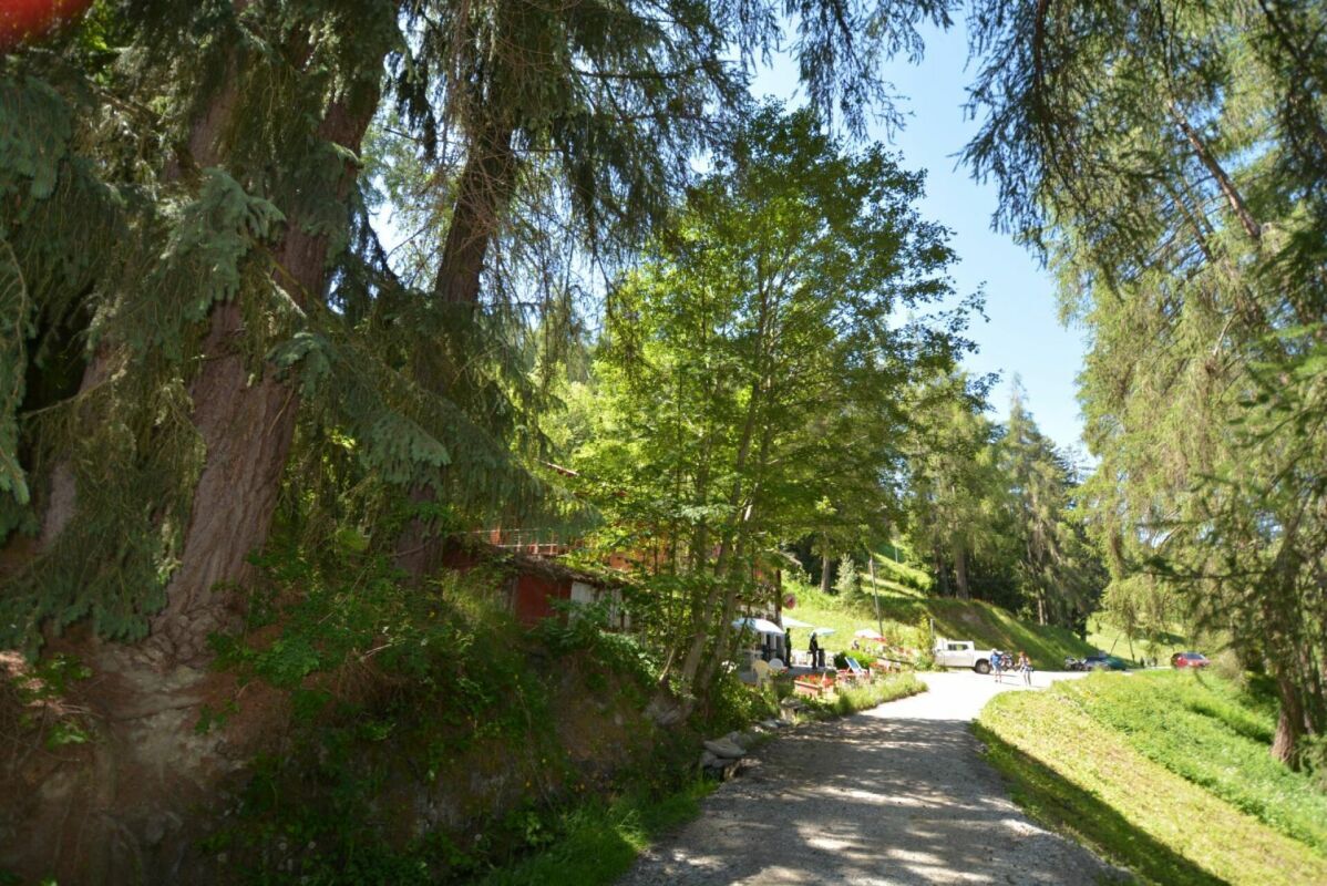 Foto 9