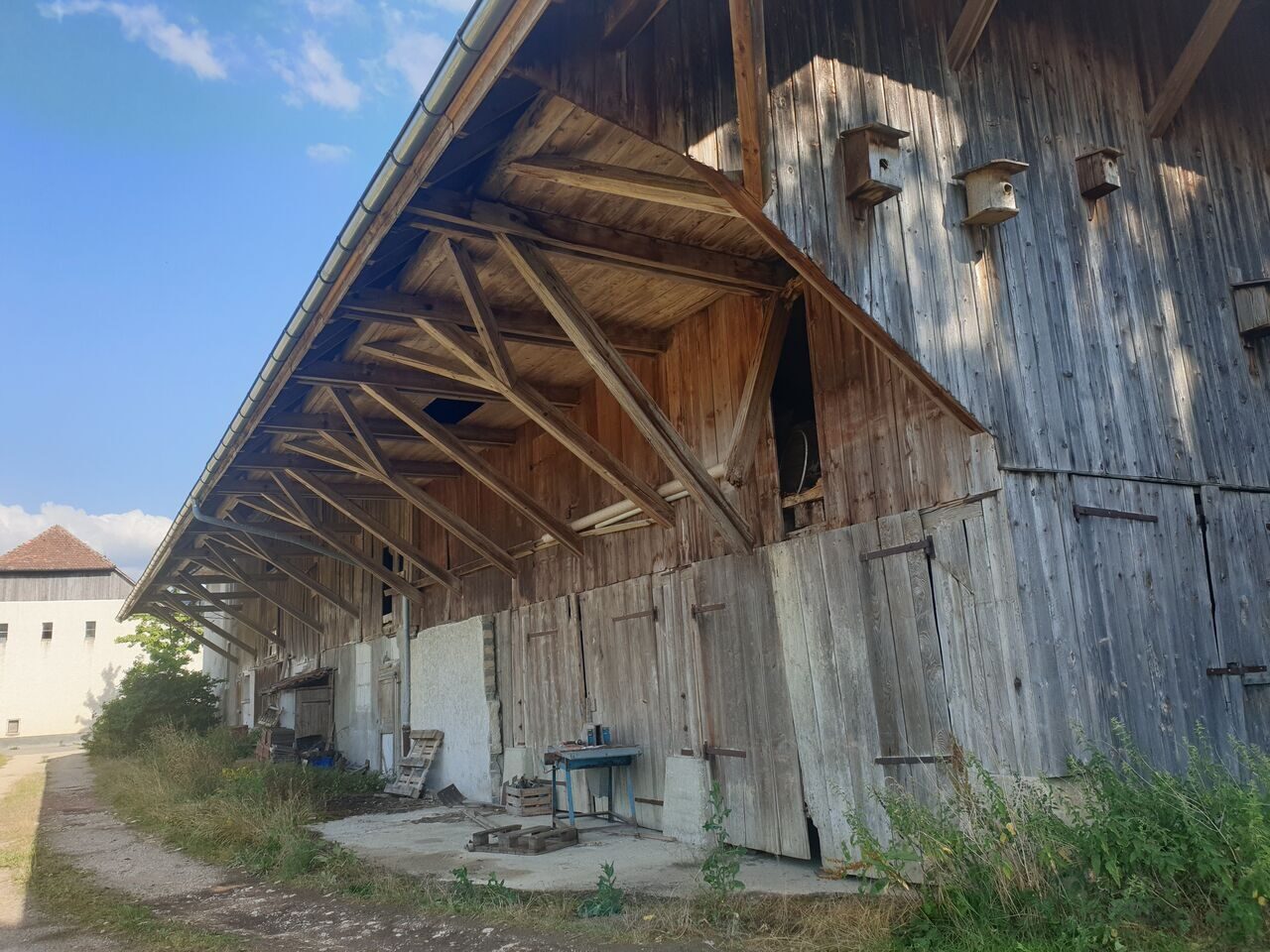 Foto 1