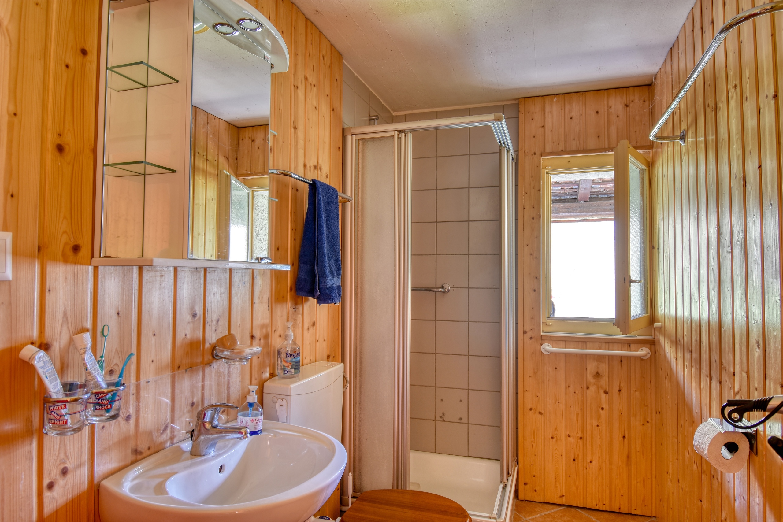 Chalet Mollens - Salle de douche Chalet Mollens - Salle de douche